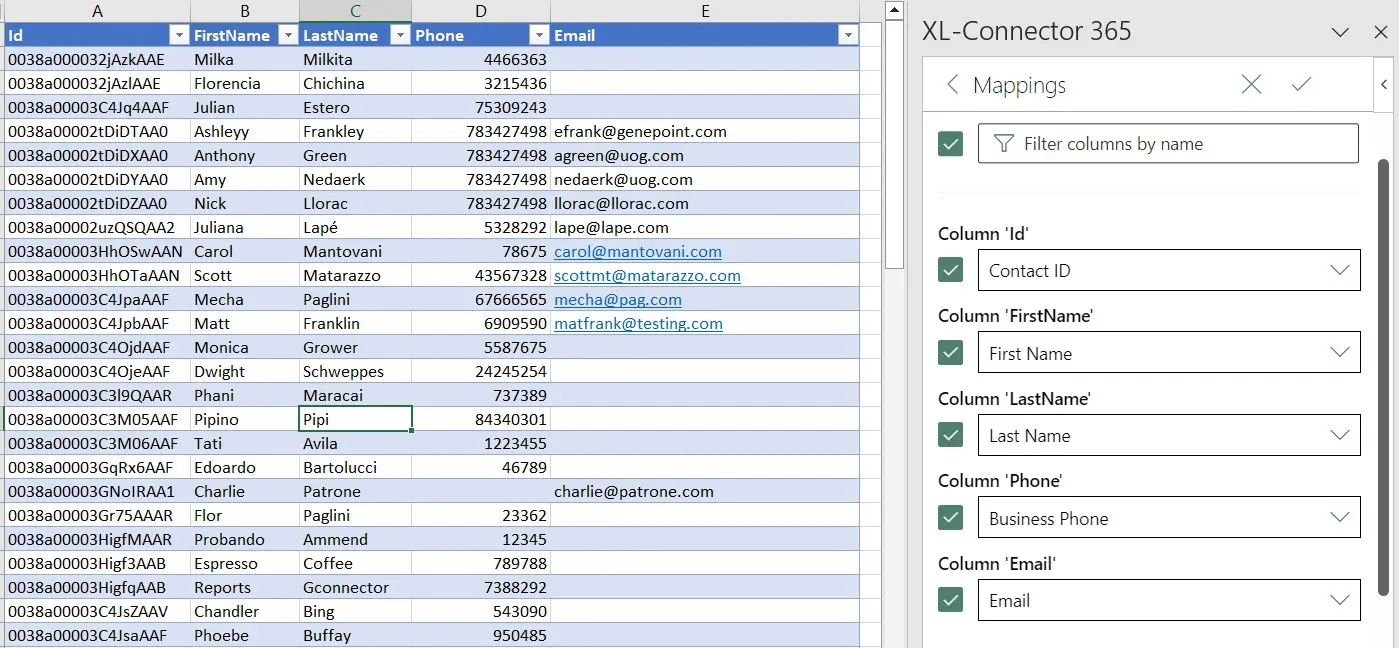 Map Salesforce records’ fields to Excel columns