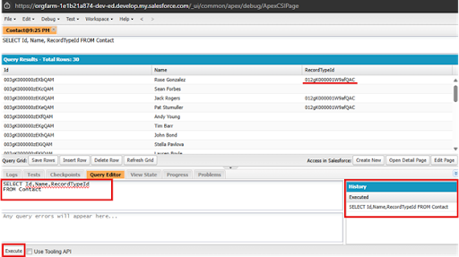 Screenshot of Salesforce Developer Console showing a SOQL query executed in the Query Editor with results displaying RecordTypeId values for Contact records.
