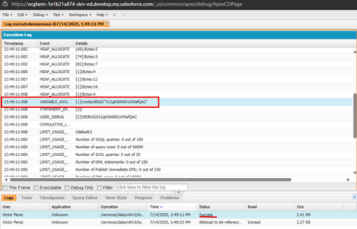Screenshot of Salesforce Developer Console showing execution log with a highlighted Record Type ID returned from anonymous Apex code.