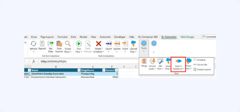 Click Open in Salesforce