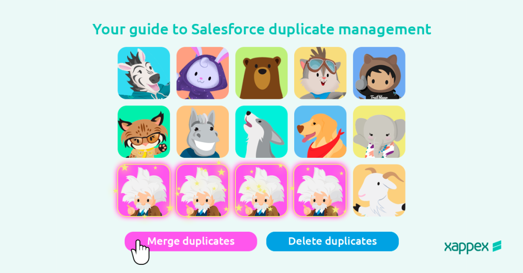 Salesforce duplicate management