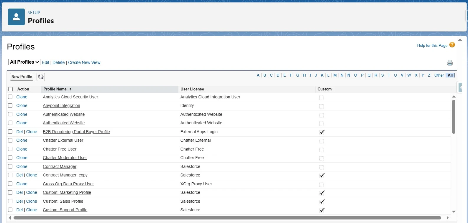 Salesforce profiles