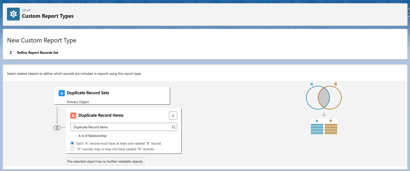Salesforce Duplicate Reports