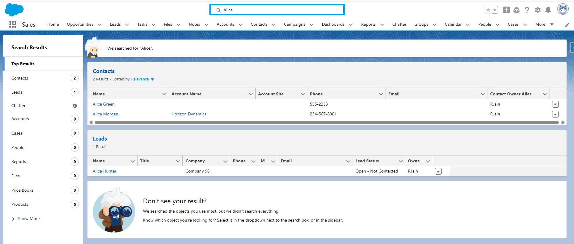 Use the Search Bar in Salesforce