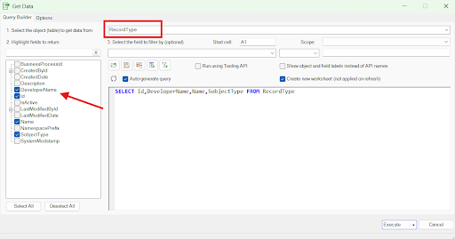 Screenshot of XL-Connector's Get Data window with the RecordType object and fields selected, ready to execute a query.