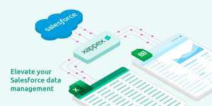 Salesforce data integration tools for spreadsheets