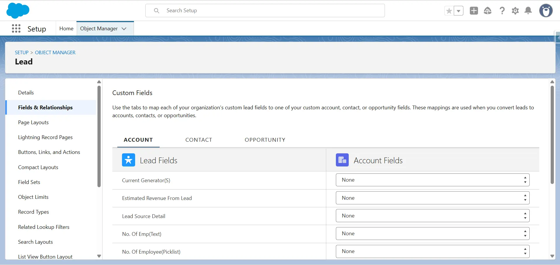 Map Lead Fields page in Salesforce with Account, Contact, and Opportunity tabs, mapping custom Lead fields to Account fields.