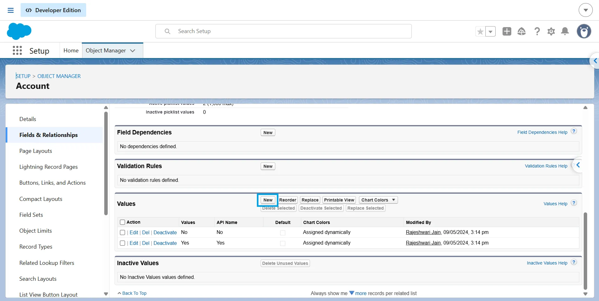 Salesforce picklist field Values list with the New button highlighted to add a value.