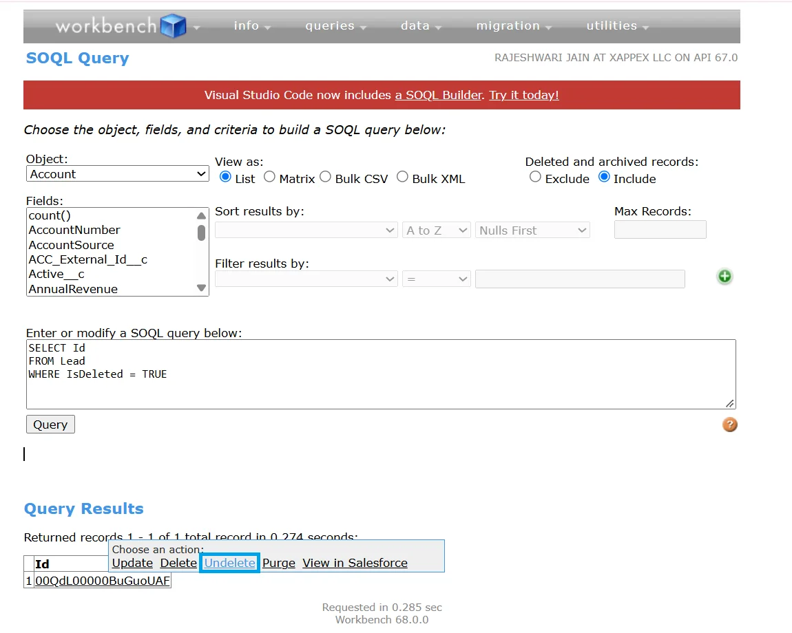 Workbench SOQL Query tool set to Lead object with an IsDeleted query ready to run.