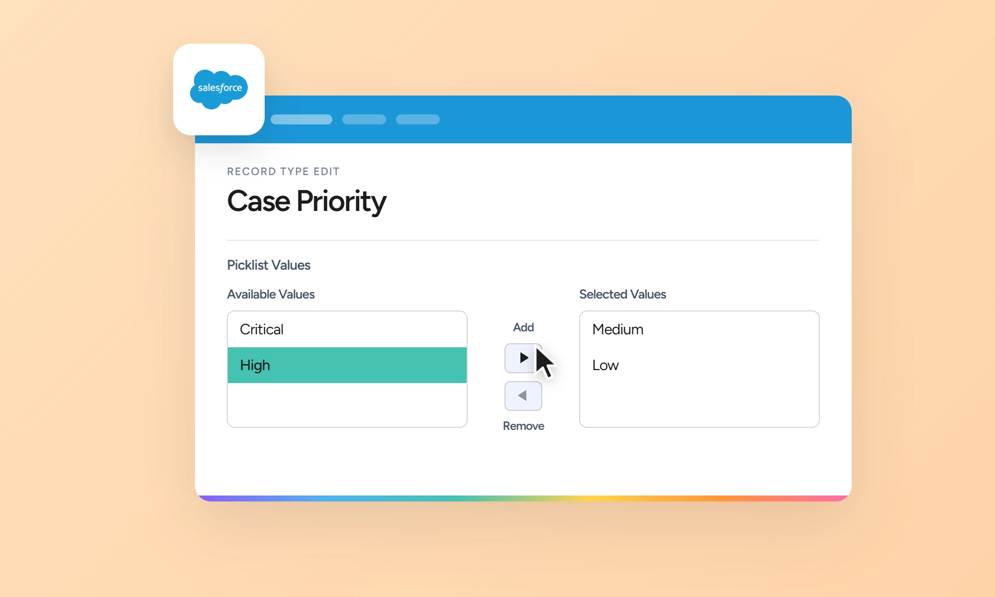 salesforce picklist values