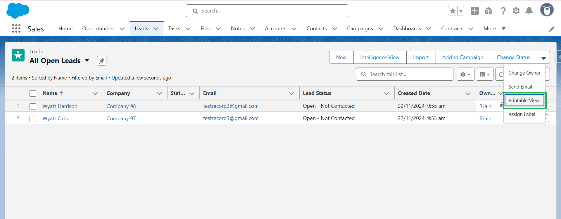 Screenshot of Salesforce Lightning List View with dropdown menu showing Printable View option