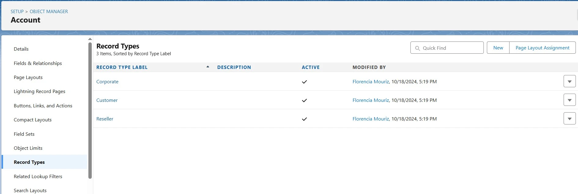 Salesforce Account Object Record Types page showing Corporate, Customer, and Reseller types with active status.