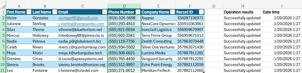 Excel table showing operation results, updated record IDs, and timestamps after a HubSpot update.