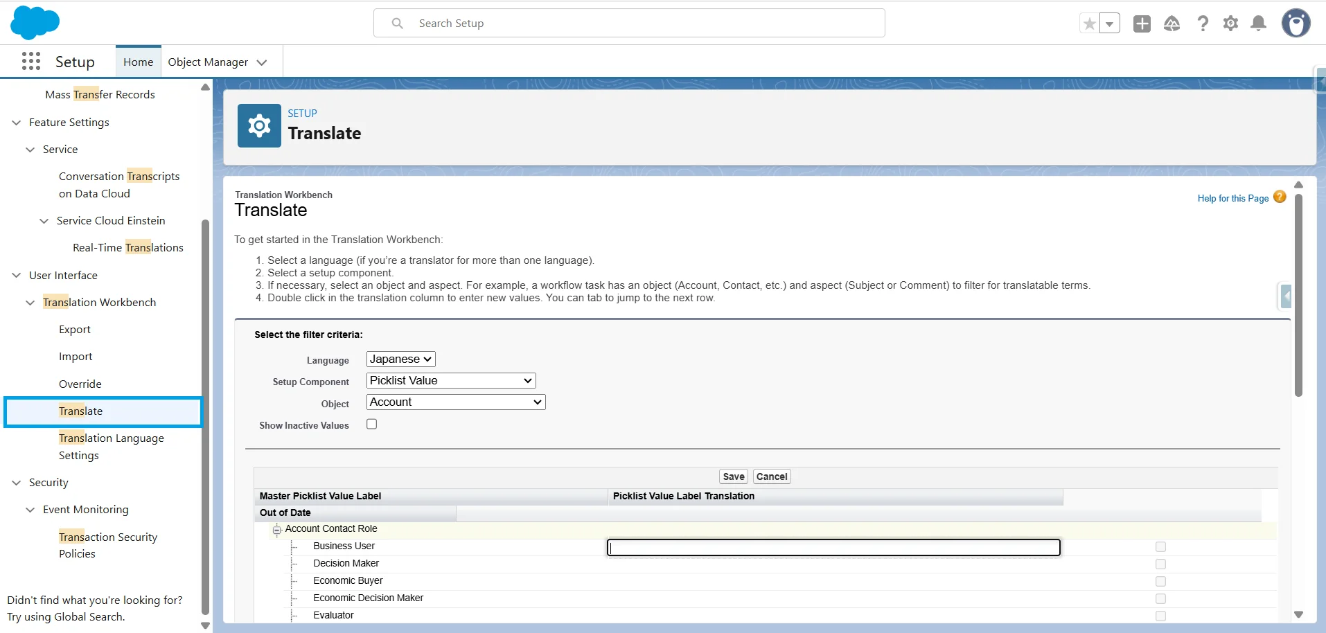 Inline editing in the Translate page: translating Account picklist values into Japanese with the filter criteria selected.