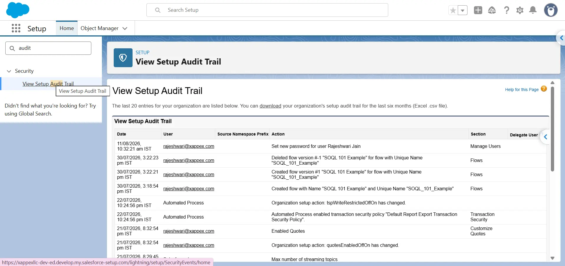 View Setup Audit Trail page in Salesforce showing recent configuration changes with date, user, and action for each entry.
